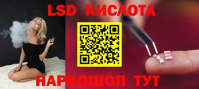 стафф Заводоуковск