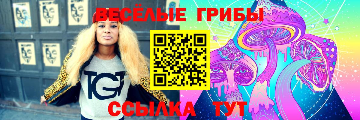 Гай  Галлюциногенные грибы ЛСД  Вход с VPN 